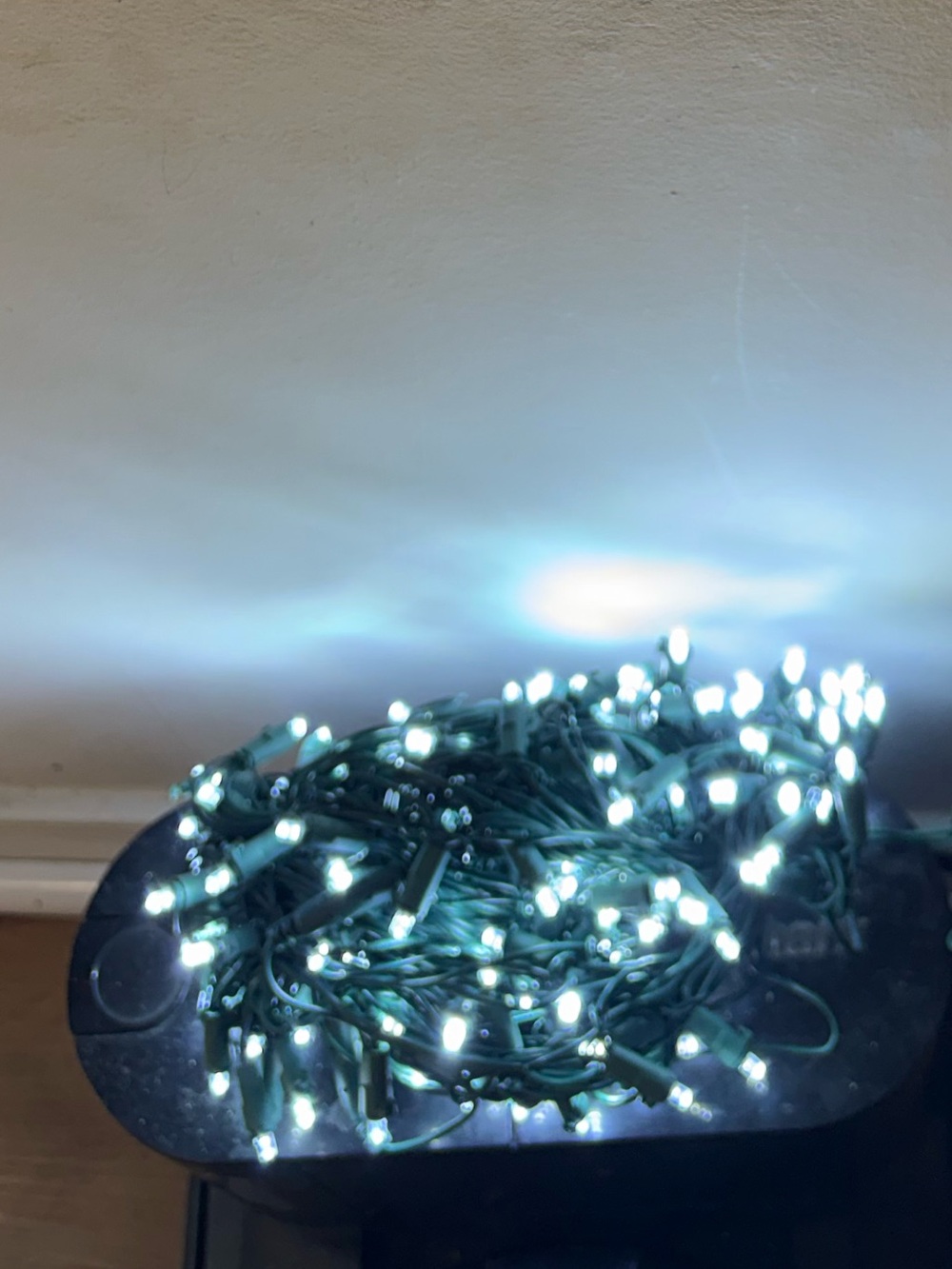 Cool White LED Holiday Net Lights with Green Wire